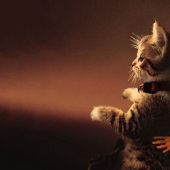 35 ganadores de la épica batalla de photoshop