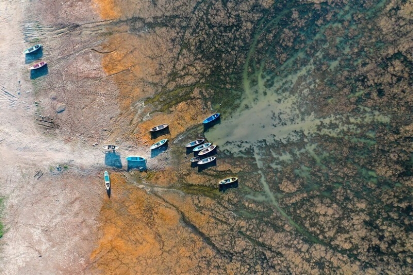 36 increíbles fotos de drones que muestran la diversidad de nuestro planeta durante la pandemia