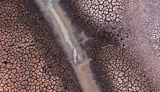 36 incredible drone photos showing the diversity of our planet during the pandemic