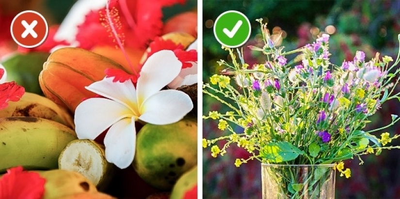 6 formas sencillas de conservar las flores frescas por más tiempo