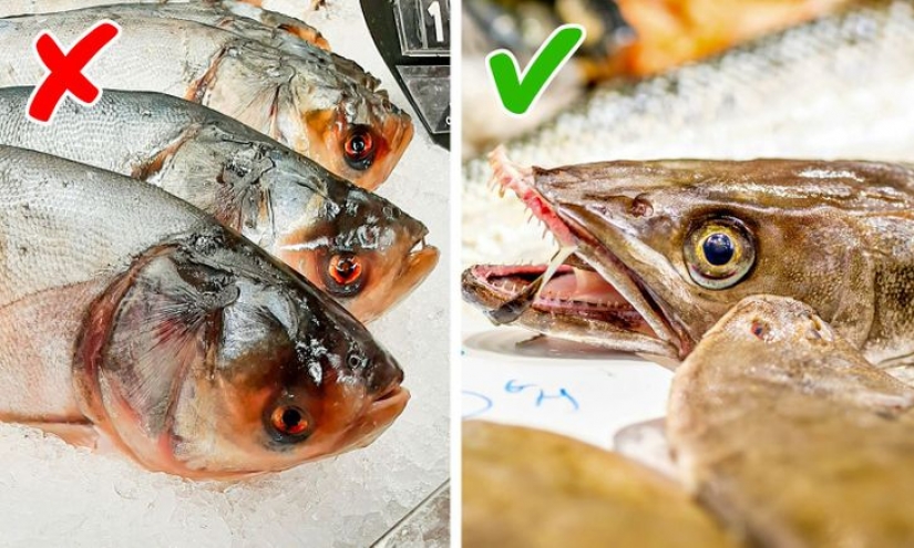 7 signs you are about to buy fish that is dangerous to eat