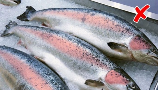 7 signs you are about to buy fish that is dangerous to eat