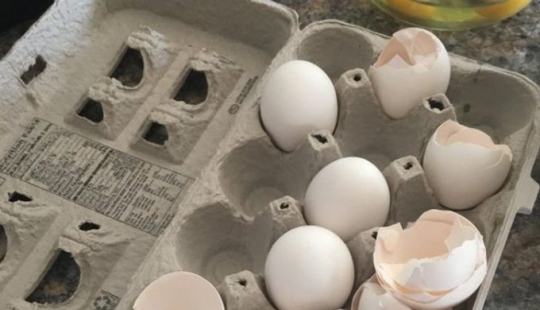 8 desperdicios de comida que puedes comer