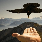 8 la mayoría de los integralnih lugares en el mundo, donde todos van a ser fotografiados