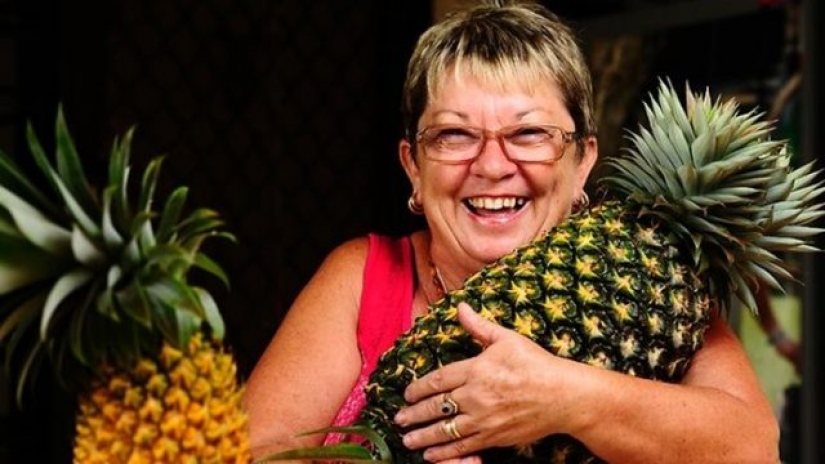 8 most interesting facts about pineapple