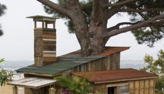 8 poderosas fotos que demuestran que nuestro planeta todavía tiene posibilidades