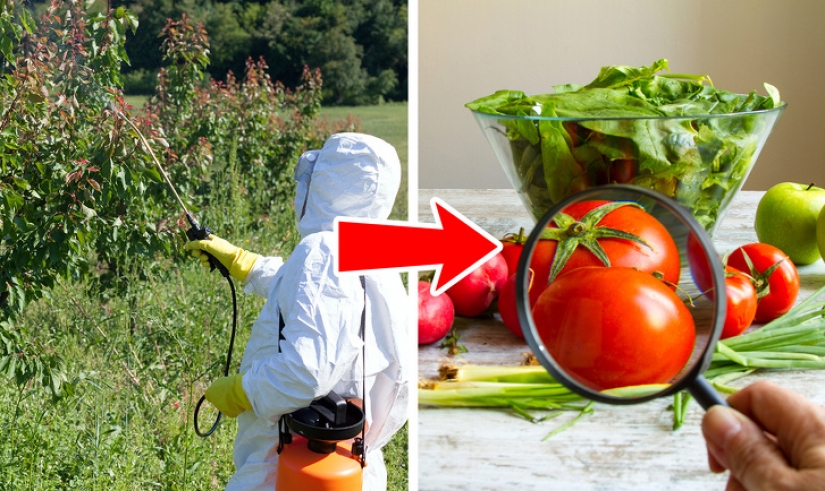 9 condiciones de salud que significan que podría ser peligroso para usted comer tomates