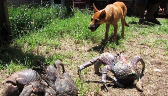 9 fotos que nos dieron ganas de desmayarnos de sorpresa