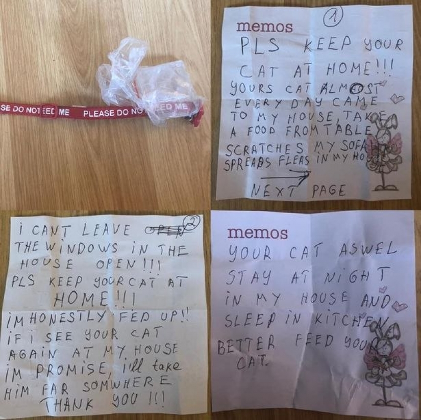 A British cat came home with a message that made his owner worry