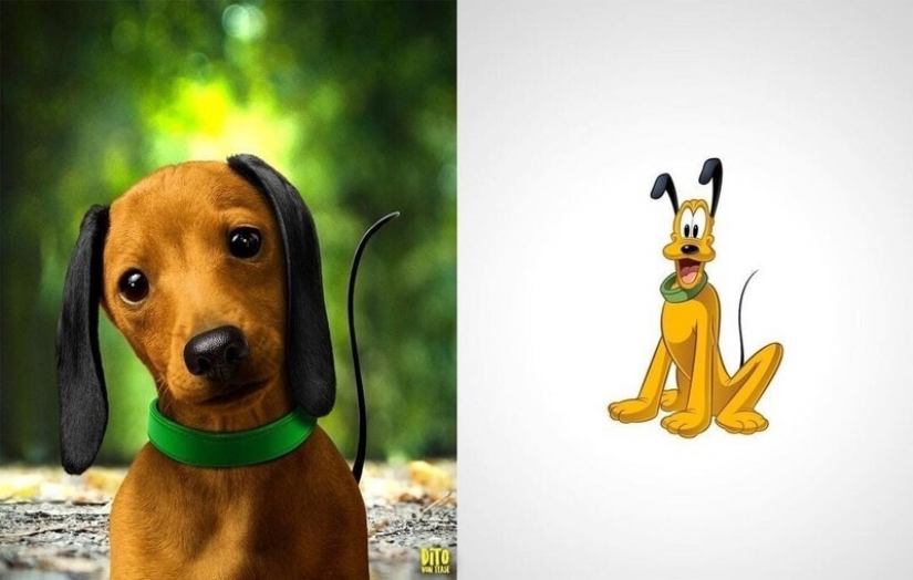 A digital artist from Italy showed how cartoon animals would look in reality