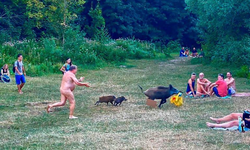 A naked German chased a wild boar and got into the photo. Now it is also a set of toys