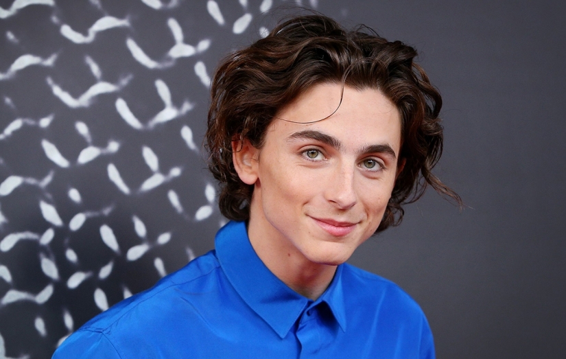 Actor Timothy Chalamet is a new, intelligent sex symbol of modernity