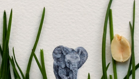 Acuarelas en miniatura Acuarelas en miniatura