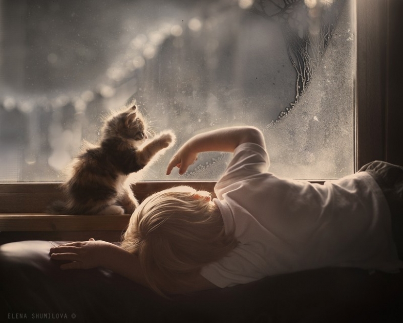 Adorable photos proving that your child needs a cat