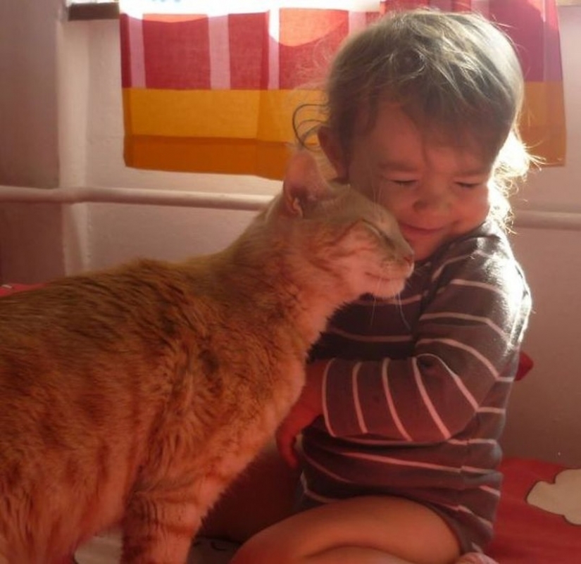 Adorable photos proving that your child needs a cat