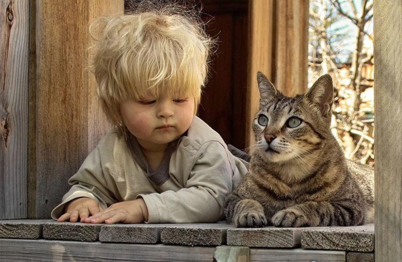 Adorable photos proving that your child needs a cat