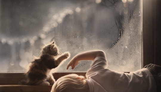 Adorable photos proving that your child needs a cat