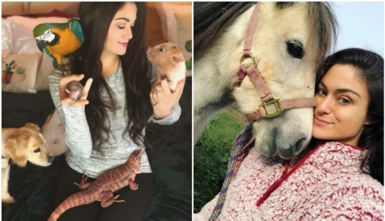 Ahorra vacas, llamas y serpientes: American había arreglado un refugio para 200 animales