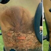 Alguien come demasiado: un roedor se metió en un comedero para pájaros y se quedó atascado