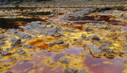 Alien landscapes on Earth