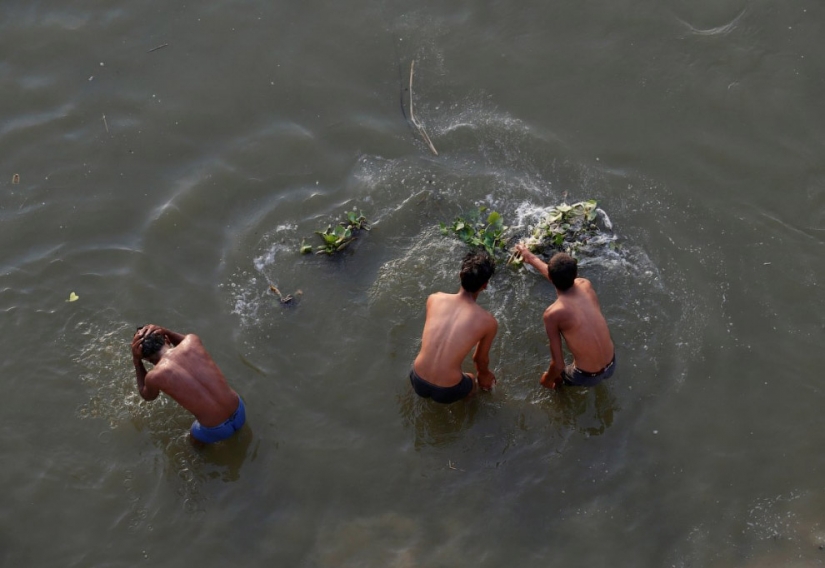 All colors of dirt: how Indians kill the sacred river Ganges