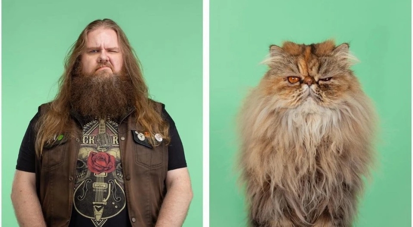 Almost indistinguishable: the photographer has shown how similar cats with their owners