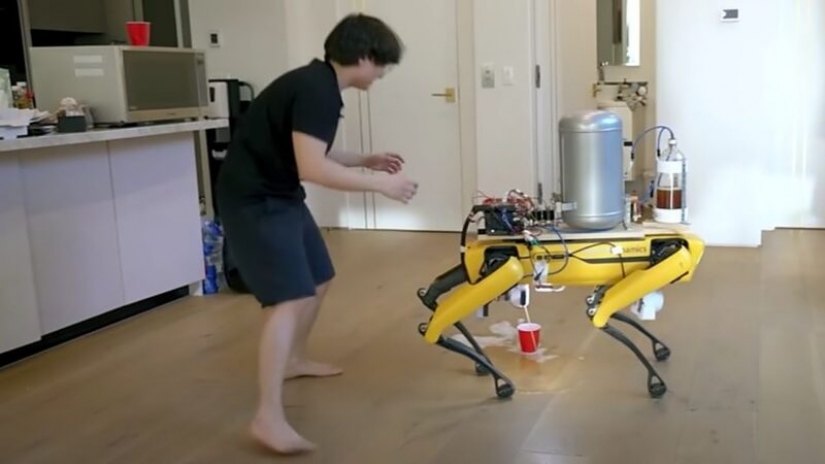 American blogger ha enseñado a un perro-robot para escribir la cerveza en un vaso