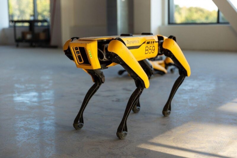 American blogger ha enseñado a un perro-robot para escribir la cerveza en un vaso