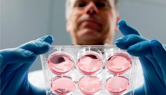 An American woman sued a gynecologist who secretly impregnated patients An American woman sued a gynecologist who secretly impregnated patients