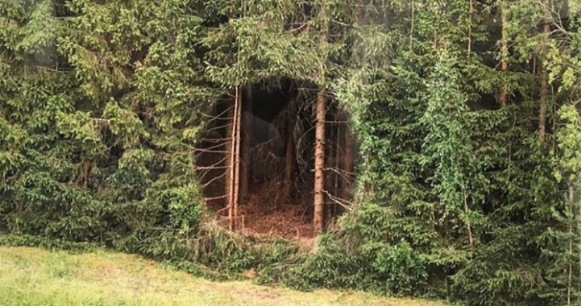 An ideal hole appeared in the forest thicket near an Estonian village and puzzled netizens