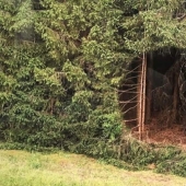 An ideal hole appeared in the forest thicket near an Estonian village and puzzled netizens