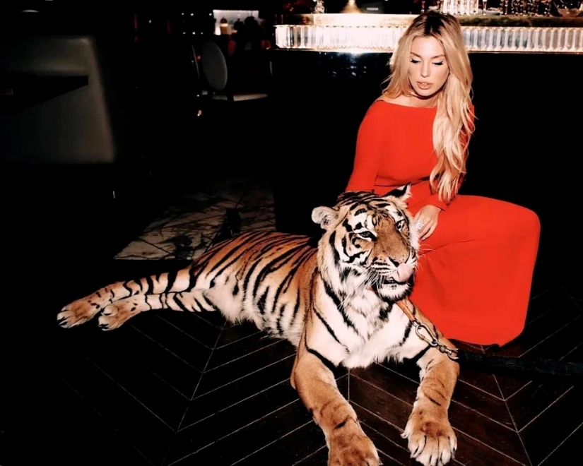 Animal rights groups attacked the socialite to hang out with predators