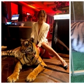 Animal rights groups attacked the socialite to hang out with predators