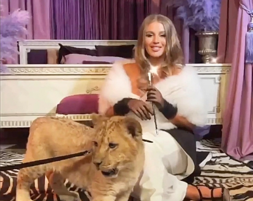 Animal rights groups attacked the socialite to hang out with predators