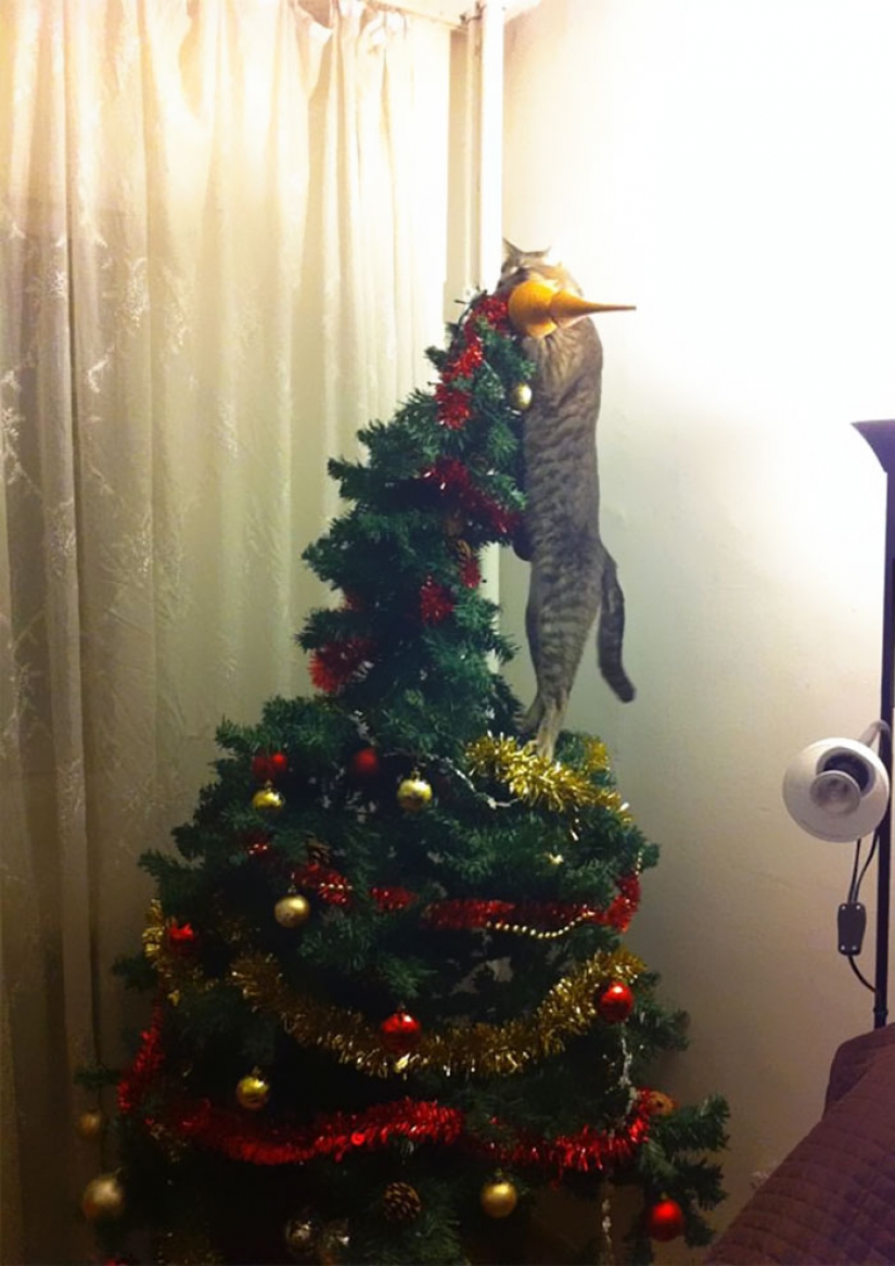 Animals that hate Christmas and New year
