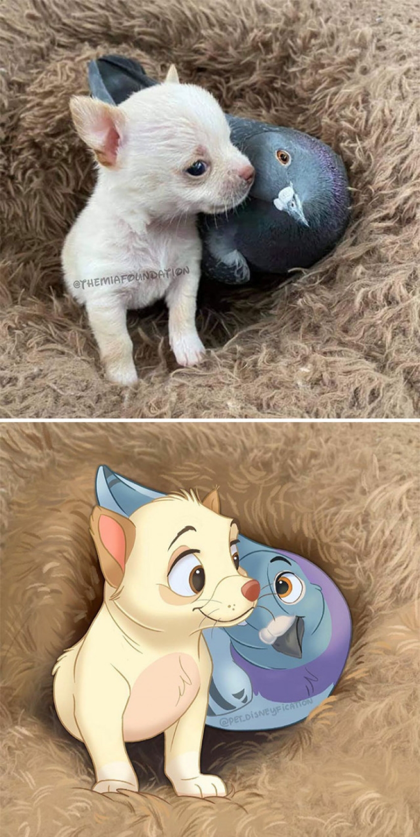 Artista holandés convierte animales en personajes de Disney