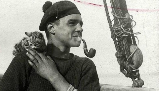 As cat walked into the sea As cat walked into the sea