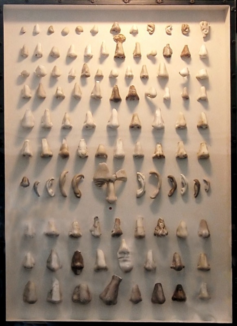 As in the Danish Museum world appeared only a collection of ancient noses