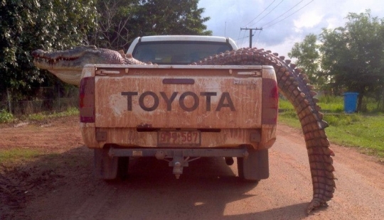 Australia: the mortal continent