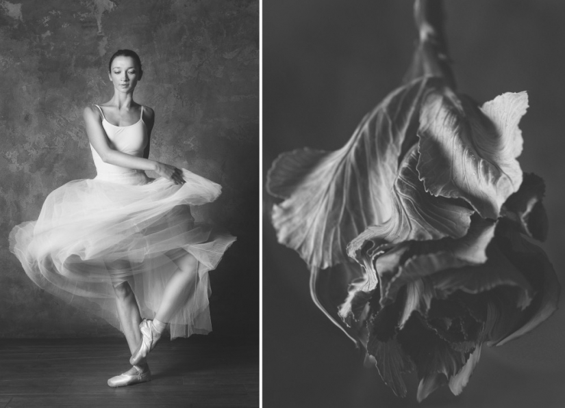 Bailarina y flores: una serie de fotos sobre la similitud de las dos de gracia