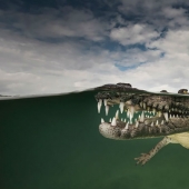 Between two worlds: on these polupodvizhnym photo shows what awaits you behind the curtain of the water