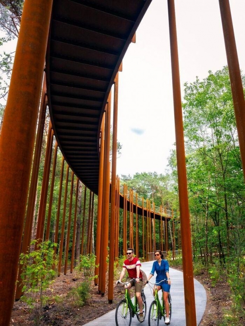 Bike path in Belgium allows you to ride through the forest at a height of 10 meters above the ground