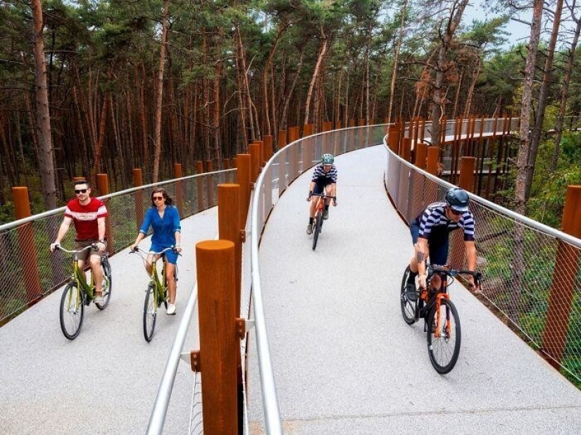 Bike path in Belgium allows you to ride through the forest at a height of 10 meters above the ground