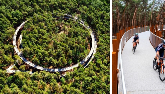 Bike path in Belgium allows you to ride through the forest at a height of 10 meters above the ground Bike path in Belgium allows you to ride through the forest at a height of 10 meters above the ground