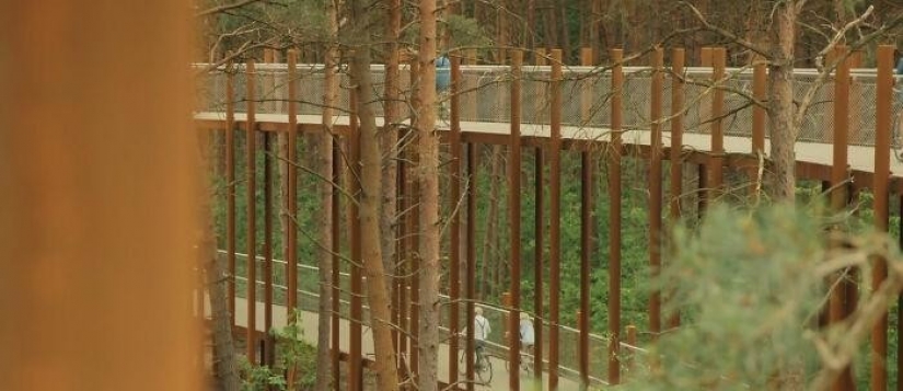 Bike path in Belgium allows you to ride through the forest at a height of 10 meters above the ground