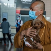 Buena misión: un monje de Shanghai cuida de 8.000 animales sin hogar