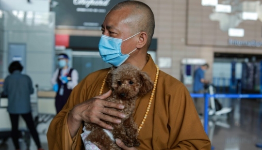 Buena misión: un monje de Shanghai cuida de 8.000 animales sin hogar