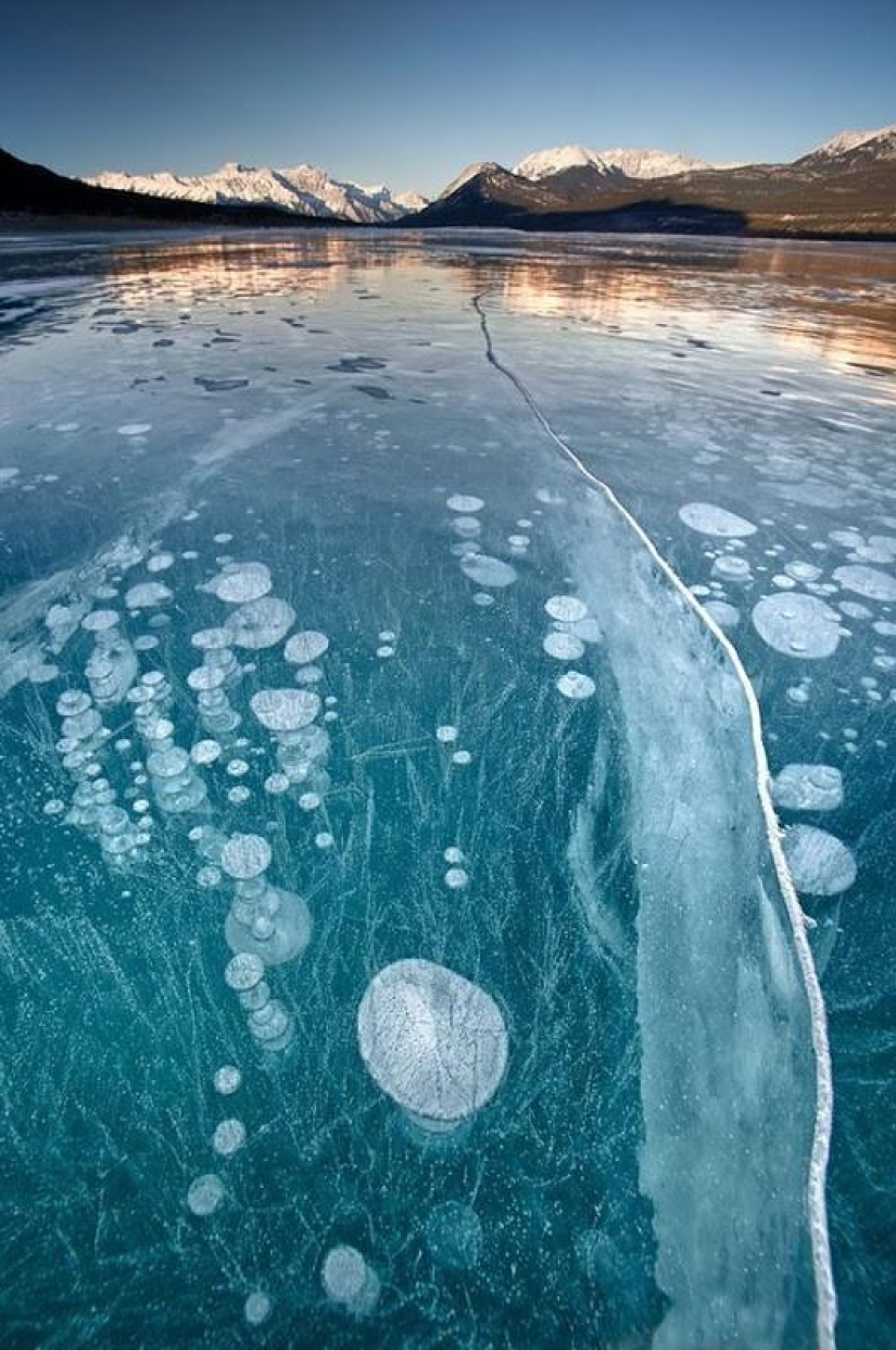 Burbujas de aire congeladas en el lago