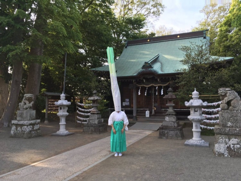 Cabeza de cebolla: un ritual inusual en un templo japonés sorpresas y puzzles