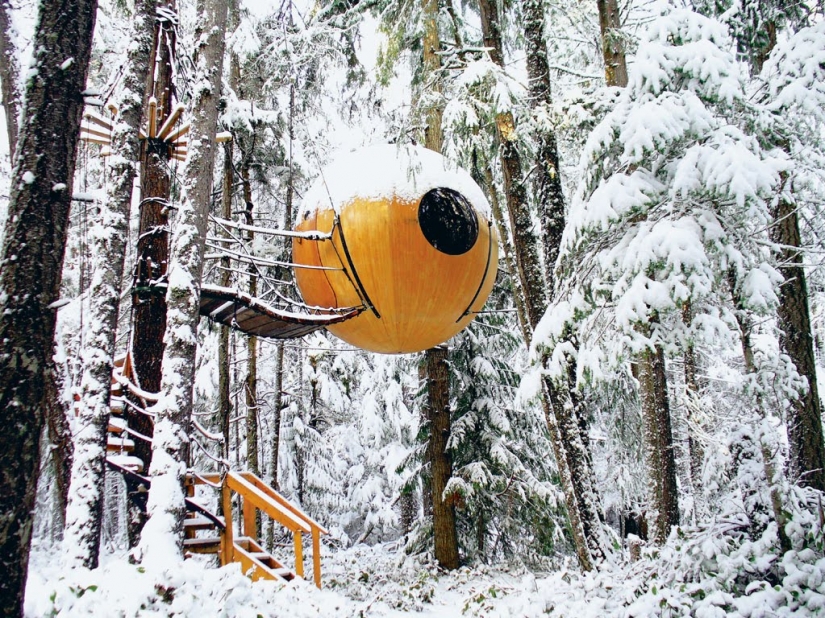 Canadian hotel for those who do not have ceased to dream of a tree house